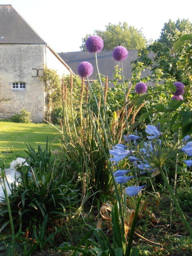 Ferme De Savigny Bed & Breakfast La Cambe Exterior photo